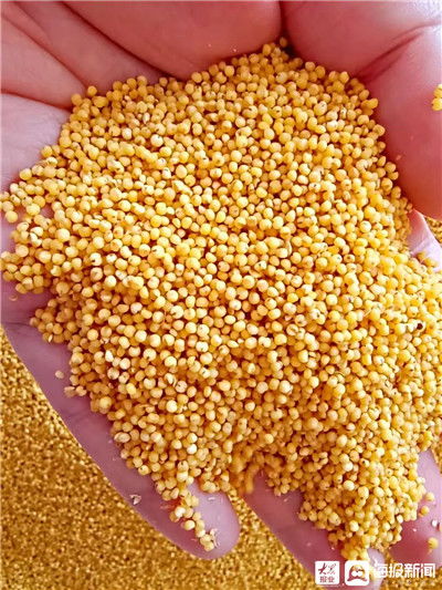 中秋團圓，福山農(nóng)產(chǎn)品與通訊設備相伴更溫馨