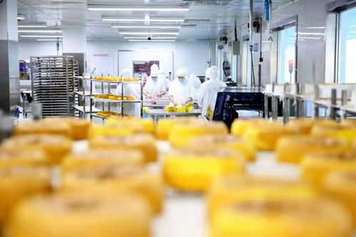 餐桌上的食品安全無小事 走進沈陽綠色工廠，探訪初級農產品的神秘生產線