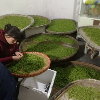 龍井茶 源自杭州富陽的初級農產品