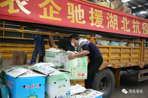 一方有難八方支援 我市農企捐贈57噸農產品馳援湖北荊州