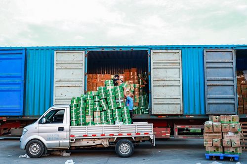 菜鳥愛心助農(nóng)綠色通道 為農(nóng)戶破解農(nóng)產(chǎn)品滯銷難題