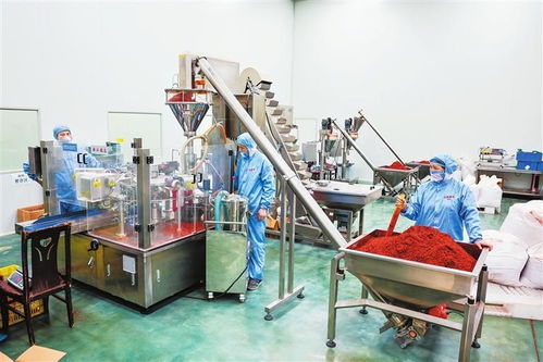 隴右名城熱潮涌動(dòng) 從田間到舌尖，天水麻辣燙火爆出圈的“初級農(nóng)產(chǎn)品”密碼