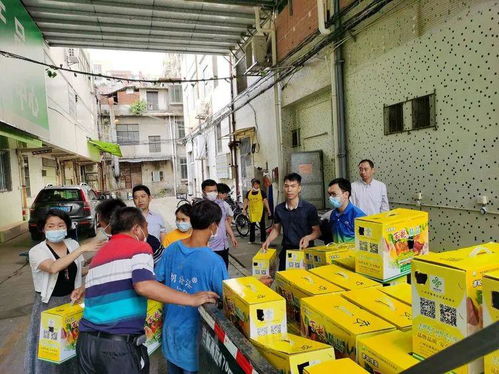 大龍街以購代捐 優質農產品認購，助力消費扶貧新篇章